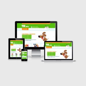 Портфолио - создание и продвижение сайтов, реклама Google, SEO оптимизация - фото - Internet-magazin-opt-igrushek-1-300x300 - Аликанте, Испания