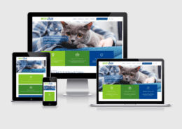 Создание сайта-визитки - создание и продвижение сайтов, реклама Google, SEO оптимизация - фото - Sozdanie-sajta-vizitki-260x185 - Аликанте, Испания